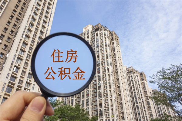 中山14年公积金多少钱（中山14年公积金利率是多少）